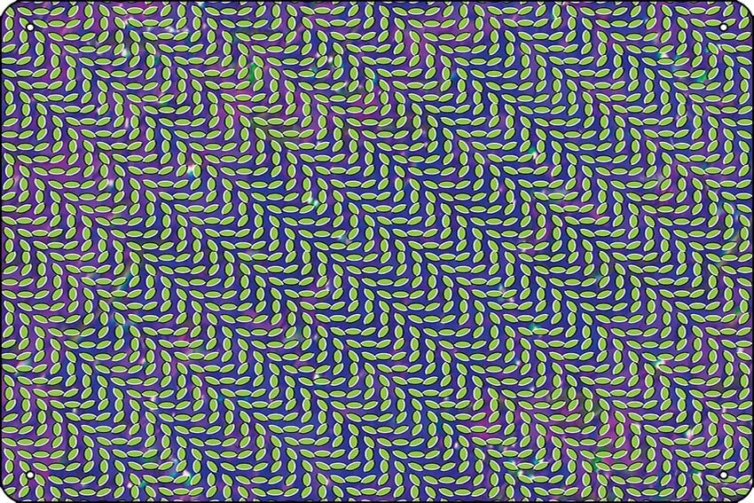 Animal Collective - Merriweath - Home Office X Post recension och pris